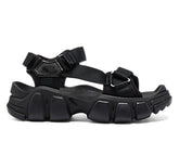 DENTIGRE BELTED